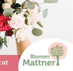 Blumen Mattner OG, Poysdorf Öffnungszeiten