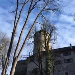 Schloss Matzen Betriebs-GmbH, Reith im Alpbachtal Öffnungszeiten
