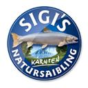 Siegfried Gruber, Ebene Reichenau Öffnungszeiten