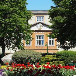Gemeindeamt Sollenau, Öffnungszeiten