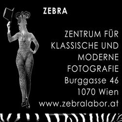 Natascha Auenhammer - Zebra, Neubau, Wien - Öffnungszeiten