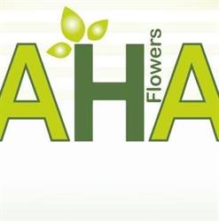 A.H.A. Flowers Thurner, Schwarzott u. Hartberger OG, Hirtenberg Öffnungszeiten