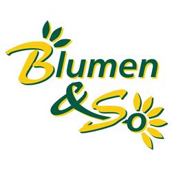 Blumen und So, Leobersdorf Öffnungszeiten