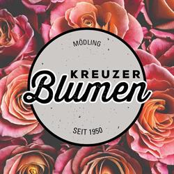 Kreuzer Blumen Inh Helene Kostwein, Mödling Öffnungszeiten