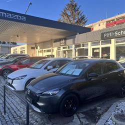Piffl-Schmitz Franz e.U., Berndorf Öffnungszeiten