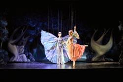 Marionettentheater Schloß Schönbrunn - Hofratstrakt, Wien Öffnungszeiten