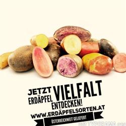 Kartoffelhof Schramm Christof Regionalproduct EPU, Großengersdorf Öffnungszeiten