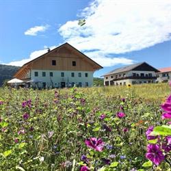 Kreuzer KG, Attersee Öffnungszeiten