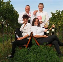 Weingut u. Heuriger Christine u. Harald Schachl, Baden, Bad Vöslau - Öffnungszeiten
