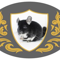Chinchilla-Paradise-Shop Walter Mangelberger, Eugendorf Öffnungszeiten