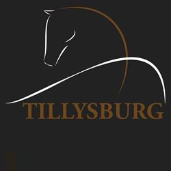 Pferdeklinik Tillysburg Dr Clemens Mahringer & Dr Christian Franz, St. Florian Öffnungszeiten
