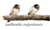 authentic experience - Mag Christoph Tschaikner, Innsbruck Öffnungszeiten
