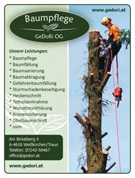 Baumpflege GeDoRi OG, Weißkirchen an der Traun Öffnungszeiten