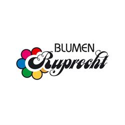 Blumen Ruprecht, Gleisdorf Öffnungszeiten