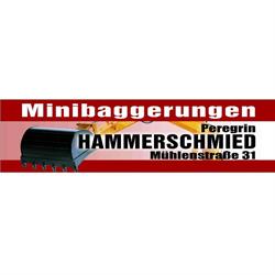 Minibaggerungen Hammerschmied, Enns Öffnungszeiten