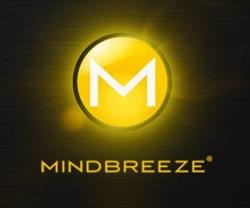 Mindbreeze Software GmbH, Innenstadt, Linz - Öffnungszeiten