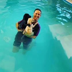 Dog Care KG, Steyregg Öffnungszeiten