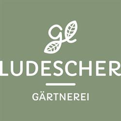 Gärtnerei Ludescher GmbH, Klaus Öffnungszeiten