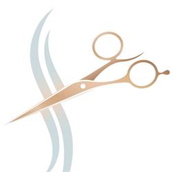 Friseur in der Josefstadt, Josefstadt, Wien - Öffnungszeiten