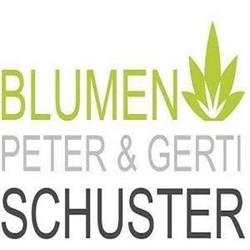 Schuster Peter, Meidling, Wien - Öffnungszeiten