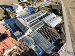 Gärtnerei Gauppmann e.U., Hainfeld Öffnungszeiten
