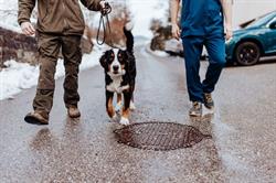 Tierarztpraxis Strudengau – Dr. Georg Haimel OG, Grein Öffnungszeiten