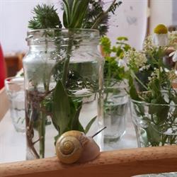 Kindergruppe - Wohnen Mit Kindern Womiki, Floridsdorf, Wien - Öffnungszeiten
