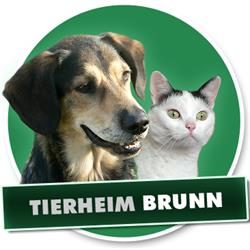Tierschutzverein - Tierheim Brunn, Brunn am Gebirge Öffnungszeiten