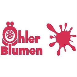 Öhler Blumen, Zistersdorf Öffnungszeiten