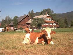 Biobauernhof Steinbauer, Ramsau Öffnungszeiten
