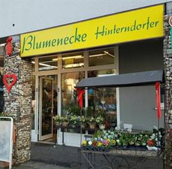 Blumenecke Hinterndorfer, Enns Öffnungszeiten