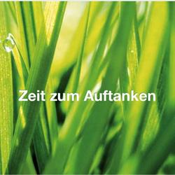 Massage- und Fußpflegeinstitut Andrea Macheiner, Mondsee Öffnungszeiten