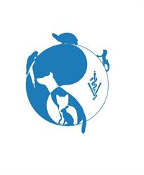 Dr. Christine Plattner, Sierndorf Öffnungszeiten