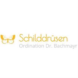 Dr. Siegfried J. Bachmayr, Wien Öffnungszeiten