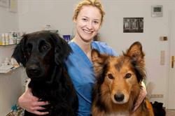 Tierarztpraxis Gersthof Dipl Tzt Sanja Saam BVetMed MRCVS, Währing, Wien - Öffnungszeiten
