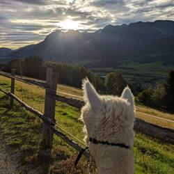 Klausnerhof, Aich-Assach Öffnungszeiten