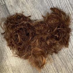 FRISEUR ZEHETNER, Dornbirn Öffnungszeiten