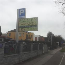 Blumen Tamandl, Simmering, Wien - Öffnungszeiten