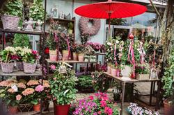 Blumen GRAN - Birgit Malner, Graz Öffnungszeiten