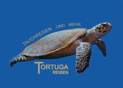 Tortuga Reisen, Brigittenau, Wien - Öffnungszeiten