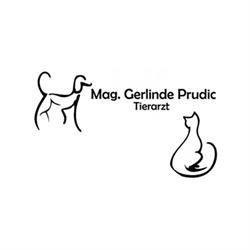 Mag. med.vet. Prudic Gerlinde, Breitenau Öffnungszeiten