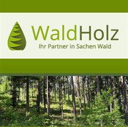 WHG WaldHolz GmbH, Wiener Neustadt Öffnungszeiten