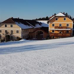 Walchshofer KG, Herzogsdorf Öffnungszeiten