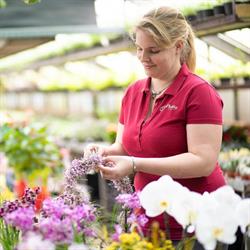 Blumen Plettig KG - Bernau, Stallhofen Öffnungszeiten