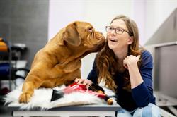 Hundesalon Kerstin Böhm, Matzendorf-Hölles Öffnungszeiten