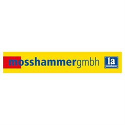 Mosshammer GmbH - Ihr 1a installateur für Bad & Heizung, Knittelfeld Öffnungszeiten