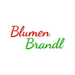 Blumen Brandl, Traun Öffnungszeiten