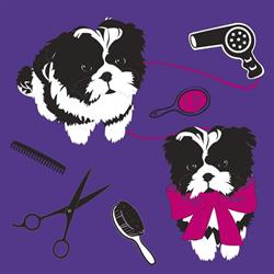 dogs hair lounge - Natascha Egger, Fügen Öffnungszeiten