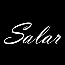 S.a.l.a.r. Goldschmiedekunst e.U., Innere Stadt, Wien - Öffnungszeiten