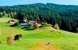 Berggasthof Bliembauer Fam. Hochwimmer, Altenmarkt im Pongau Öffnungszeiten